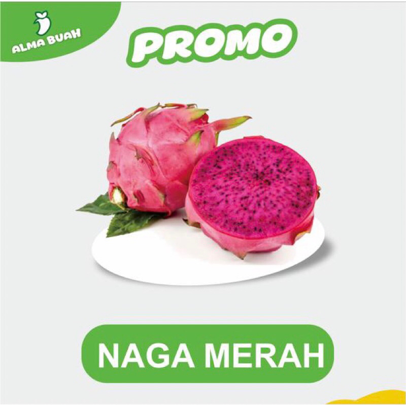

Naga Merah Buah Naga Merah Murah
