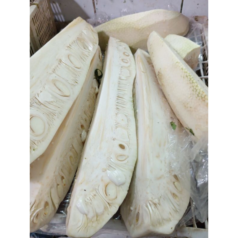 

nangka sayur berat 500grm