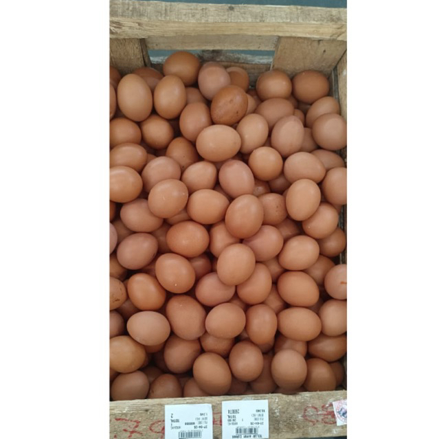 

Telur Ayam Negeri 1 KG Telur Ayam Kiloan Murah Telur Timbangan Telur Curah