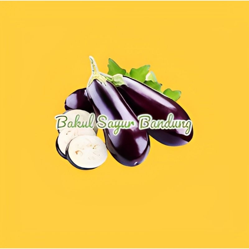 

Sayur Terong Ungu 250gr - Bakul Sayur Bandung