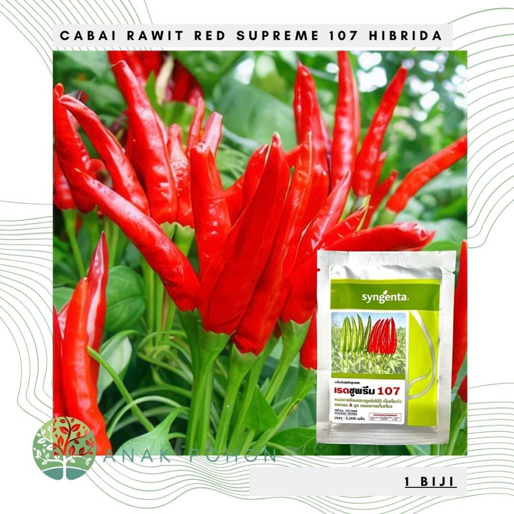 Benih Bibit Biji - Cabai Rawit Red Supreme 107 Hibrida Thai Bird Chili Pepper Seeds - IMPORT THAILAN