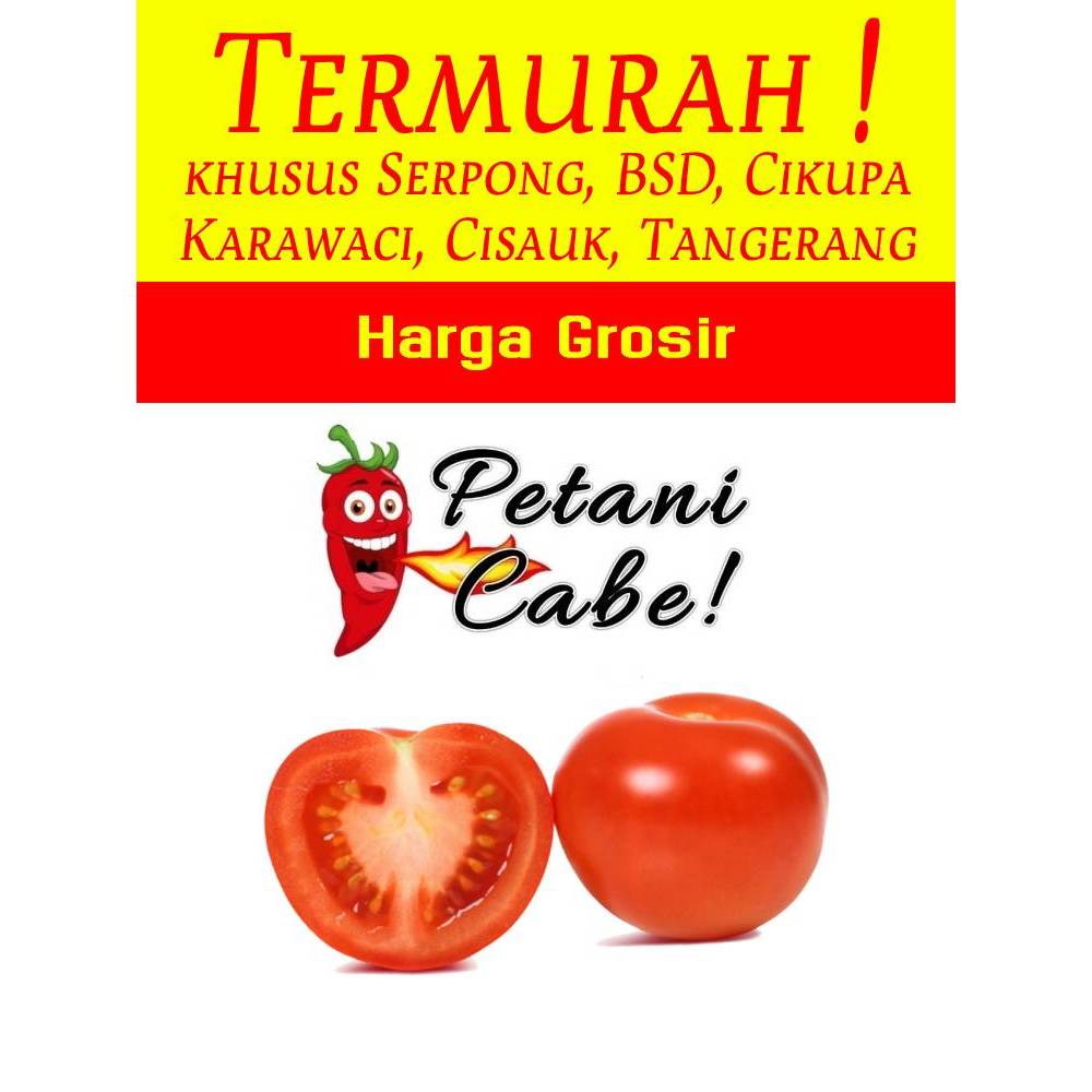 

Tomat Merah 1 kg Harga Grosir (Petani Cabe Serpong)