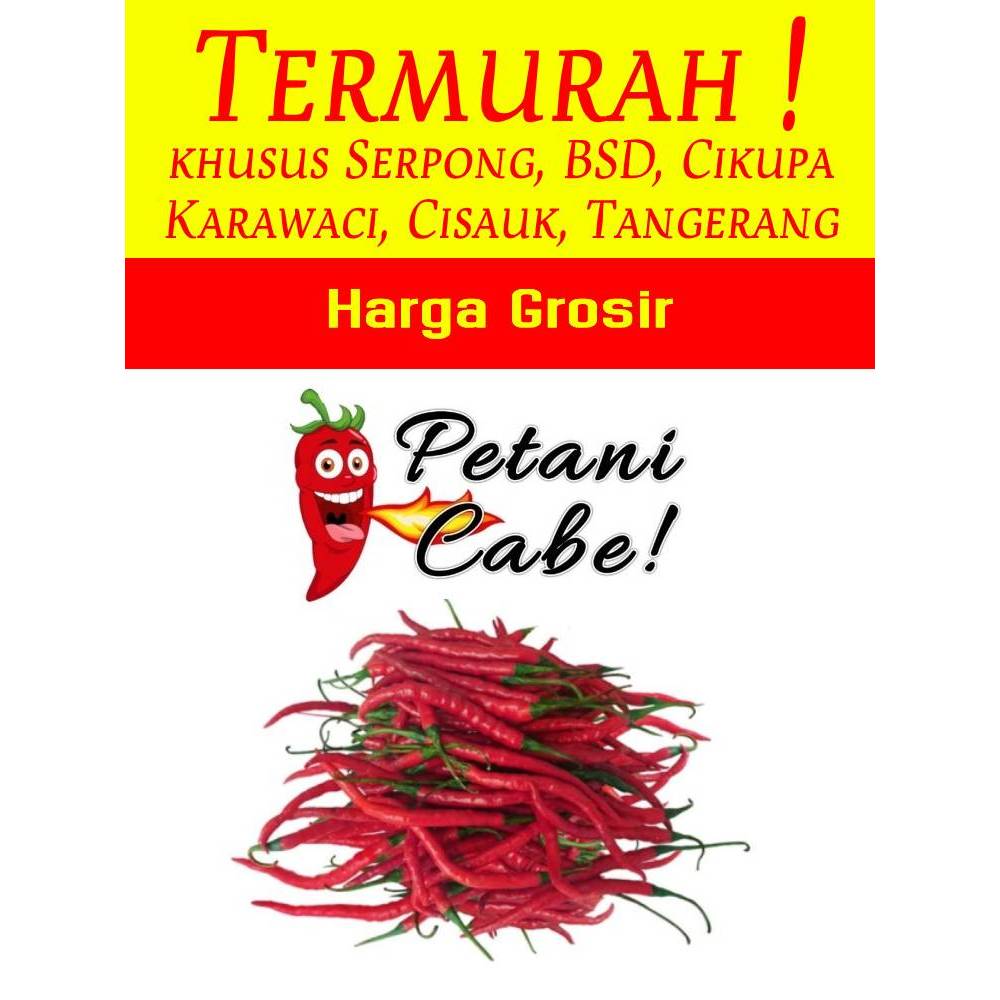 

Cabe / Cabai Merah Keriting 1 kg Harga Grosir (Petani Cabe Serpong)