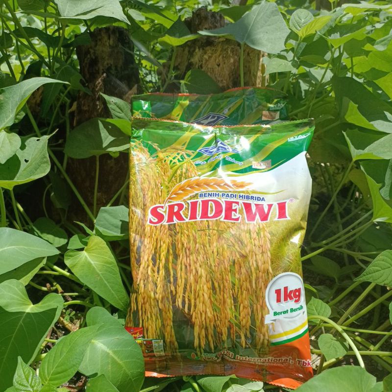Revando45 Benih Padi Hibrida F1 Intani 602 / Sridewi