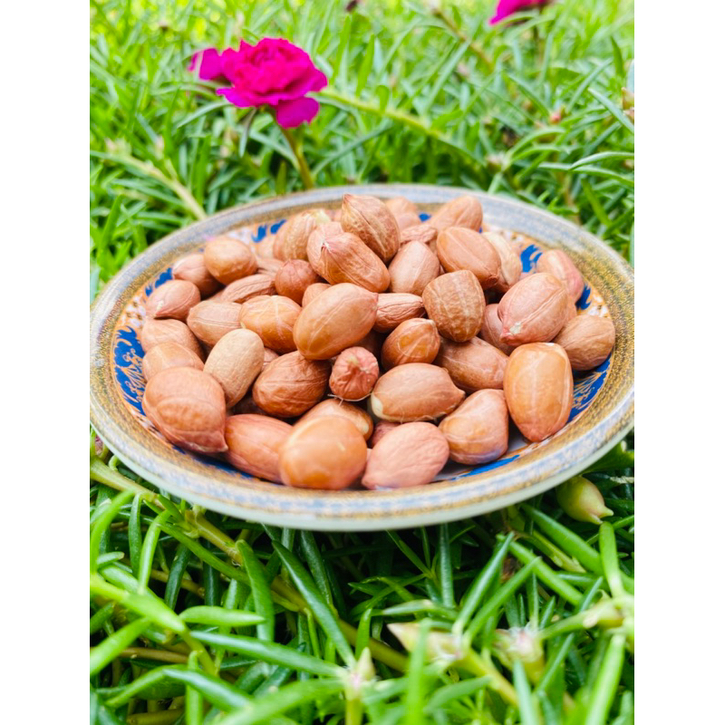 

KACANG TANAH KUPAS MENTAH 100%