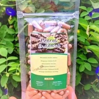 Kapsul Brotowali Isi 100 kapsul (obat gatal ori)