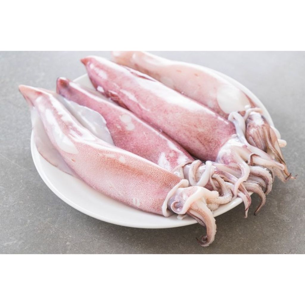 

Cumi Mentah Basah 250gr Pengiriman Instan Segar Siap Olah Untuk Tumis Sate Sup dan Masakan Laut