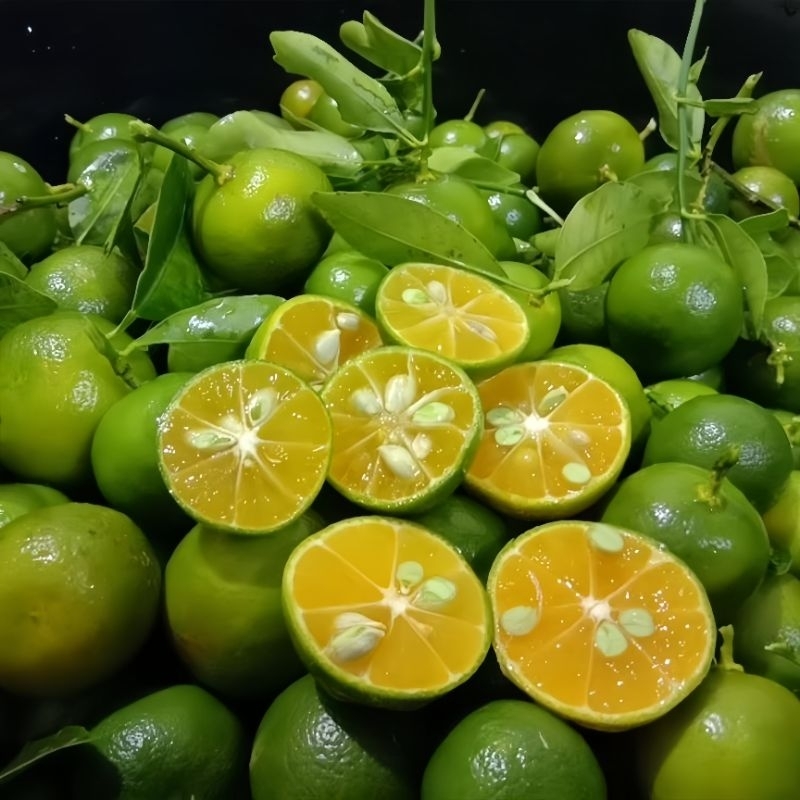 

(1KG) JERUK SONKIT/JERUK KASTURI/JERUK KUNCI YANG DIPETIK LANGSUNG DARI PETANI