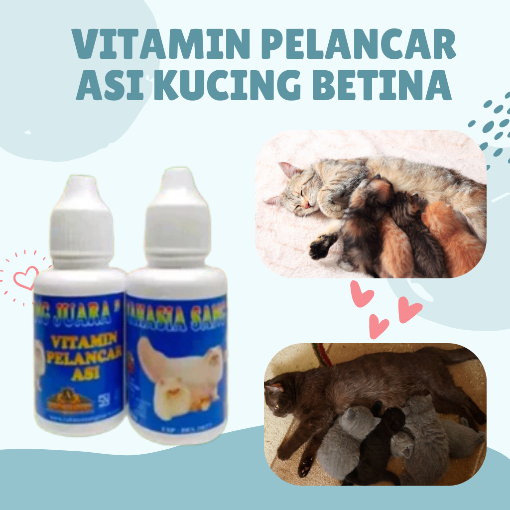 VITAMIN KUCING PELANCAR ASI KUCING BETINA 30ML