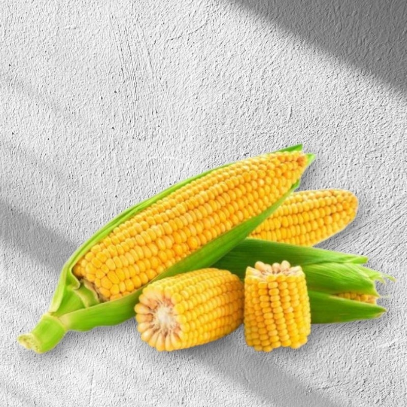 

JAGUNG MANIS MADU 2pcs