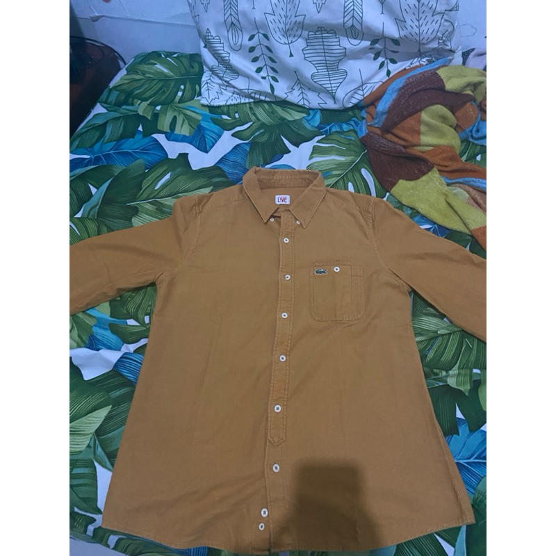 Lacoste live long sleeve shirt corduroy