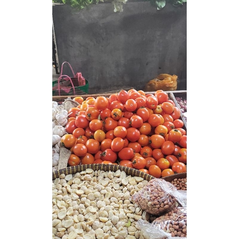 

Tomat Lokal Murah kwalitas terbaik