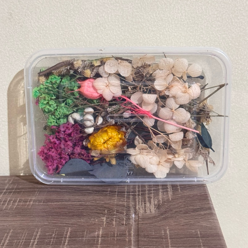 dried flower dry bunga kering pajangan estetik journaling hiasan hias kecil mini cantik warna warni 