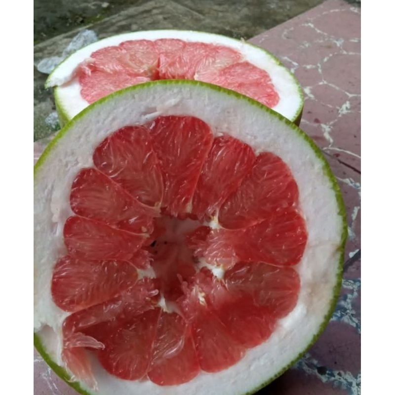 

paket usaha jeruk pamelo madu 2kg isi 5
