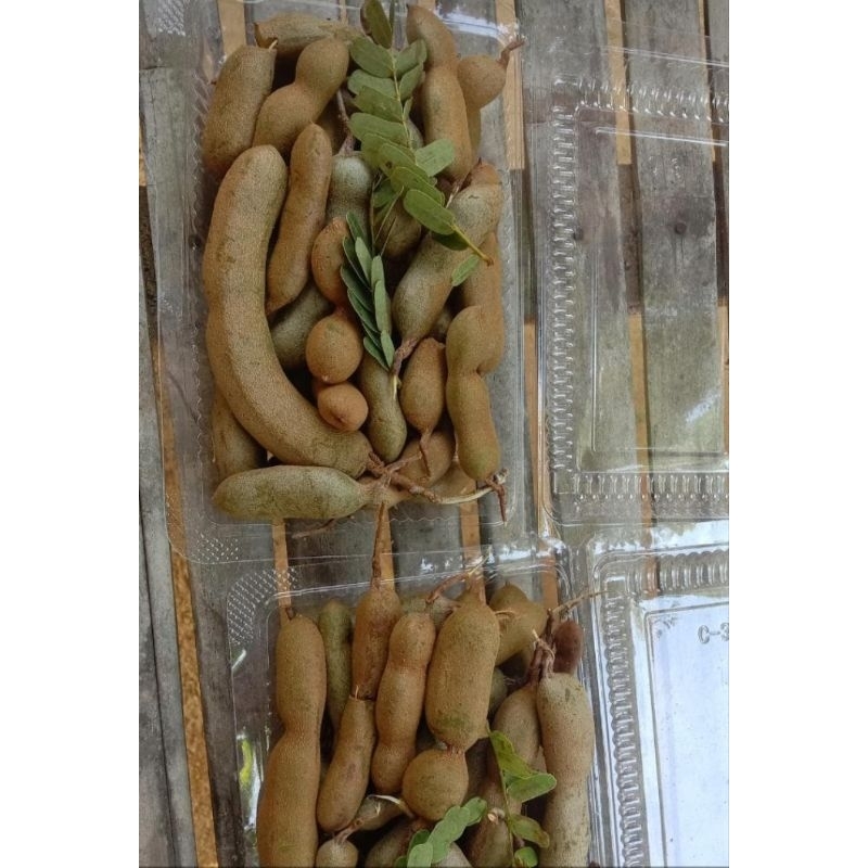 

asam muda buat rujakan