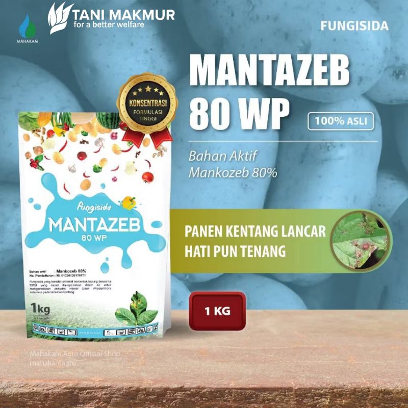 MANTAZEB 80WP 1KG