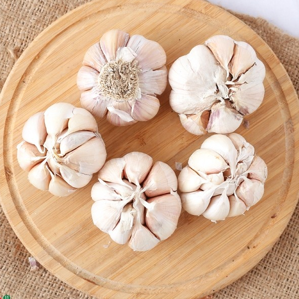 

WP - Bawang Putih / Garlic 250 Gram / 500Gram / 1 Kg
