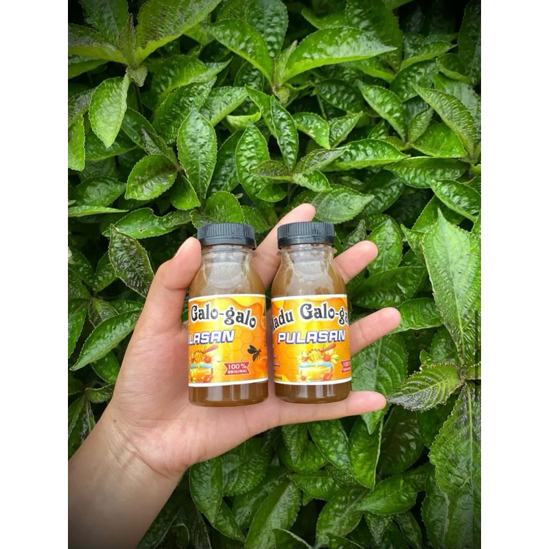 

Madu Galo Galo/ Madu Trigona / Madu kelulut isi 80Ml