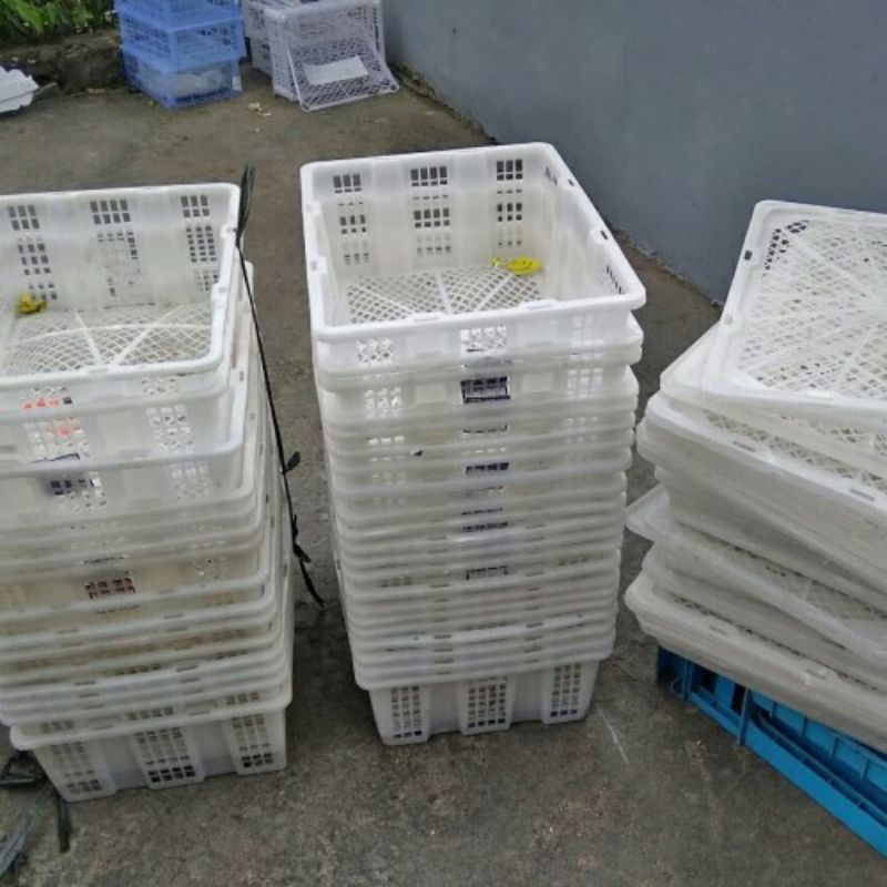 keranjang buah/keranjang kelengkeng bekas/keranjang bekas.