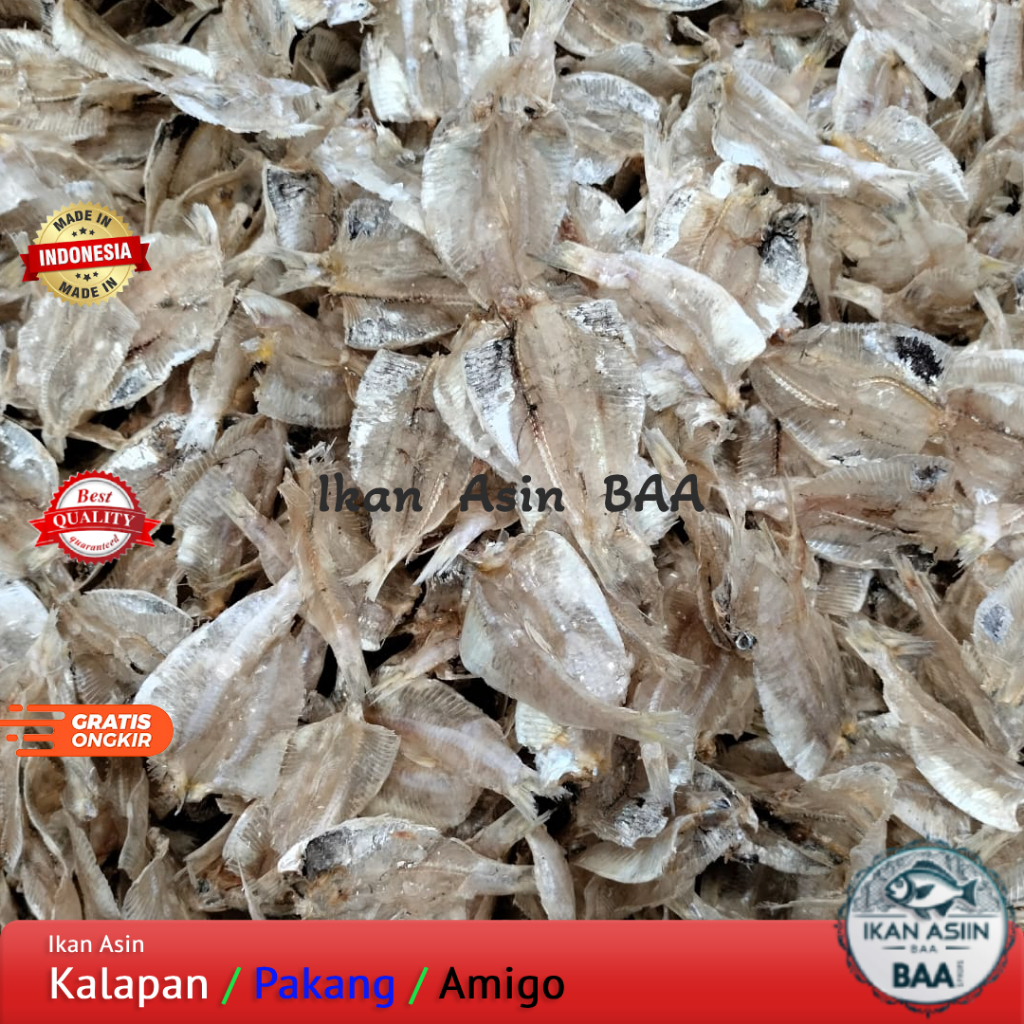 

Ikan Asin Kalapan Tawar | Ikan Pakang Tawar | Ikan Amigo Belah Tipis Kerupuk Tawar
