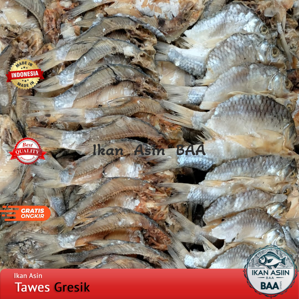 

Ikan Asin Tawes Belah Gresik Super Kering 250gram, 500gram, 1kg