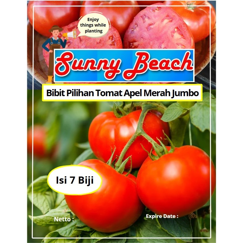 Bibit Pilihan Tomat Apel Merah Jumbo | Biji Benih Tomat Apel | Bibit Tomat Giant