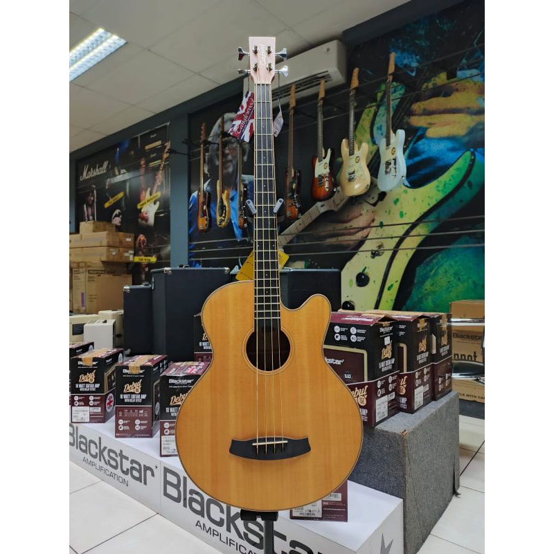 Tanglewood TW8 E-AB/Gitar Bass/Bass Akustik/Bass Akustik Elektrik