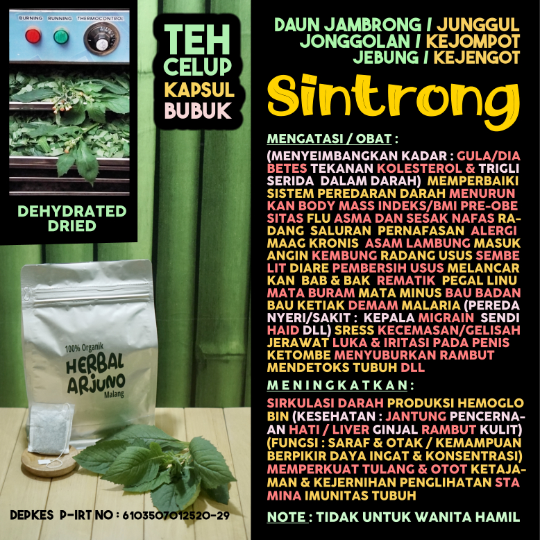 

Dehydrated Dried Teh Celup Kapsul Bubuk Daun Sintrong Junggul Jambrong Jebung Obat Maag Asam Lambung Mata Buram Minus Bau Badan Ketiak Asma Sesak Nafas Migrain Pembersih Usus Alergi Diabetes Hipertensi Kolesterol Rematik Pegal Linu Obesitas Herbal Alami