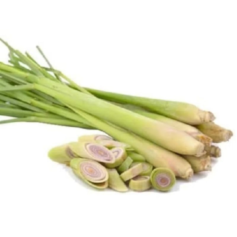 

sereh bumbu masak/lalapan mentah 1 kg