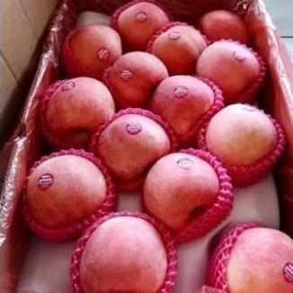 

Apel Fuji Grade A 1 Kg