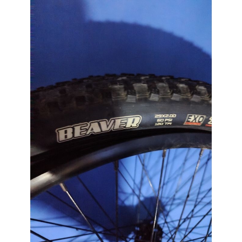 Sepasang ban Maxxis Beaver ukuran 29x200