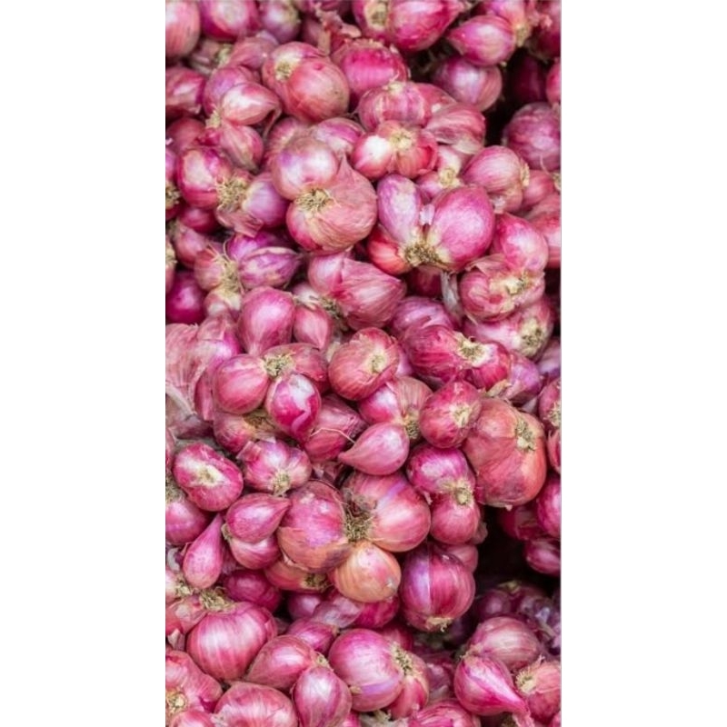 

bawang merah,bawang putih kating,bawang putih banci,bawang bombay