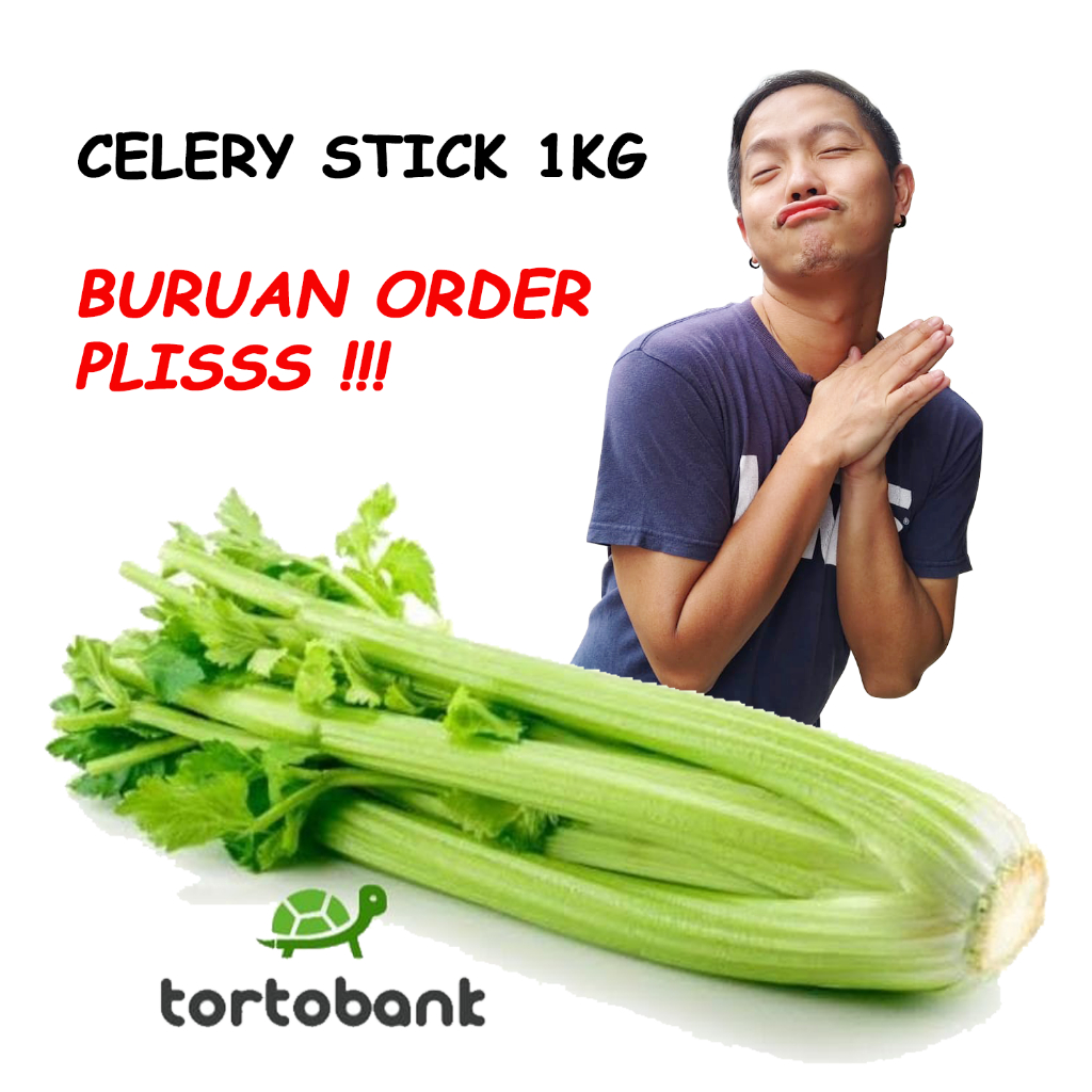 

1 KG PREMIUM CELERY IMPORT ORGANIC / SELEDRI IMPORT / CELERY STICK / SELEDRI FRESH / BATANG SELEDRI IMPORT / SAYUR SELEDRI PREMIUM IMPORT CHINA