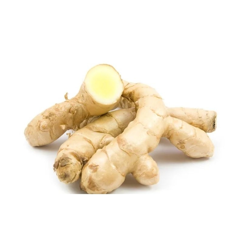 

Temu putih/ kunyit putih segar 500 gram