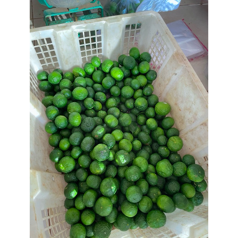 

Jeruk Limau Fresh 1 Kg