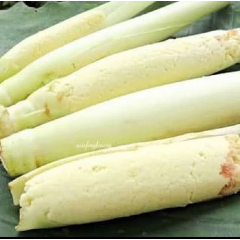 

syur turubuk endog telur tebu 1000 gram