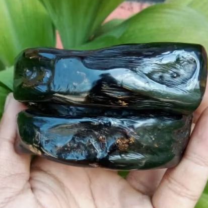 akar bahar merah body hitam babon