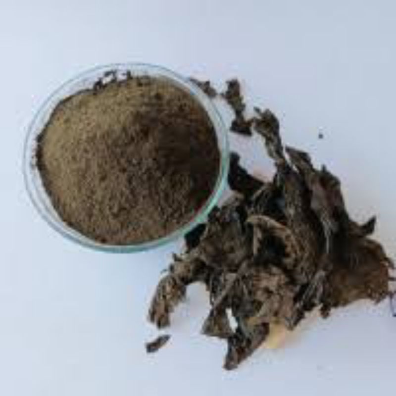 

Bubuk Serbuk Daun Ungu 500 Gram