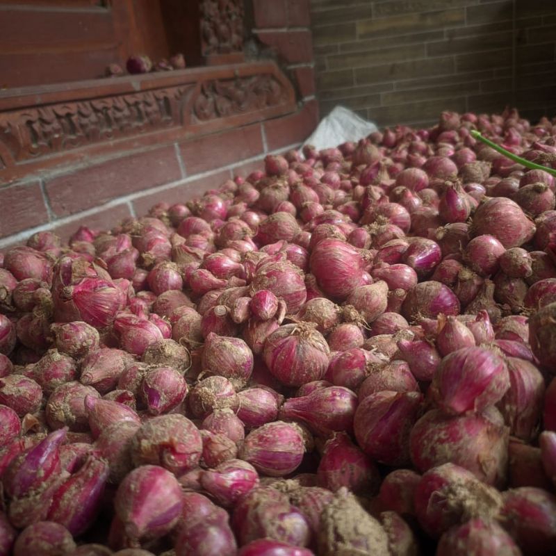 

paket bawang merah sayur/bumbu 5kg