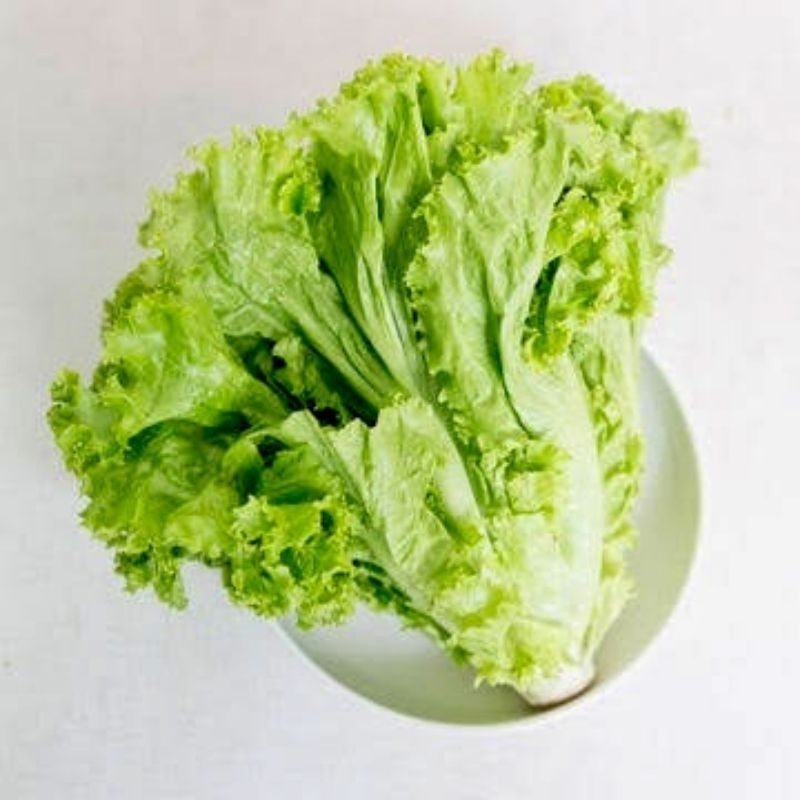 

Selada Kering Segar 200 gram