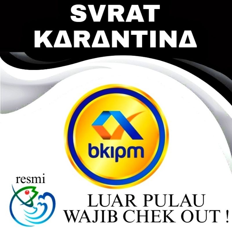 

SURAT KARANTINA.surat jalan luar pulau.WAJIB!