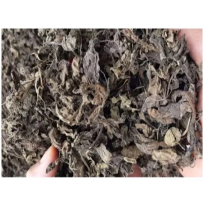 

Daun Janggelan Kering Khusus Daun Cincau Hitam Kering 1kg