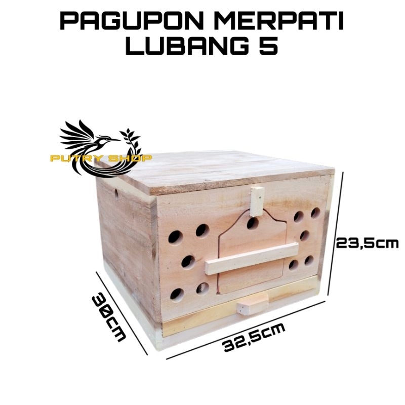 PAGUPON MERPATI LUBANG 5 GUPON TONG DARA PAGUPON