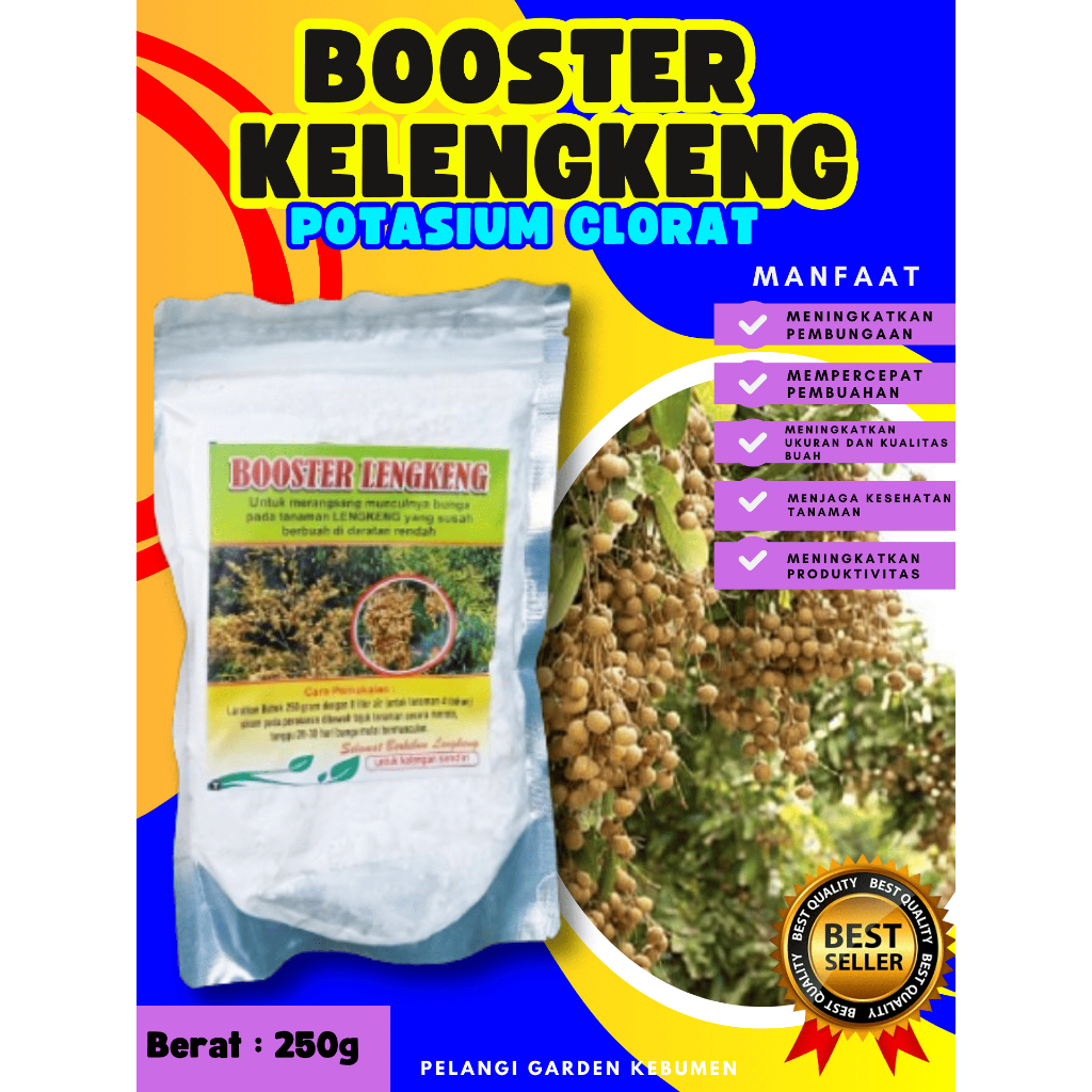TERBAIK  Booster Kelengkeng Bubuk, Booster Kelengkeng Berbuah, Booster Kelengkeng Berbunga