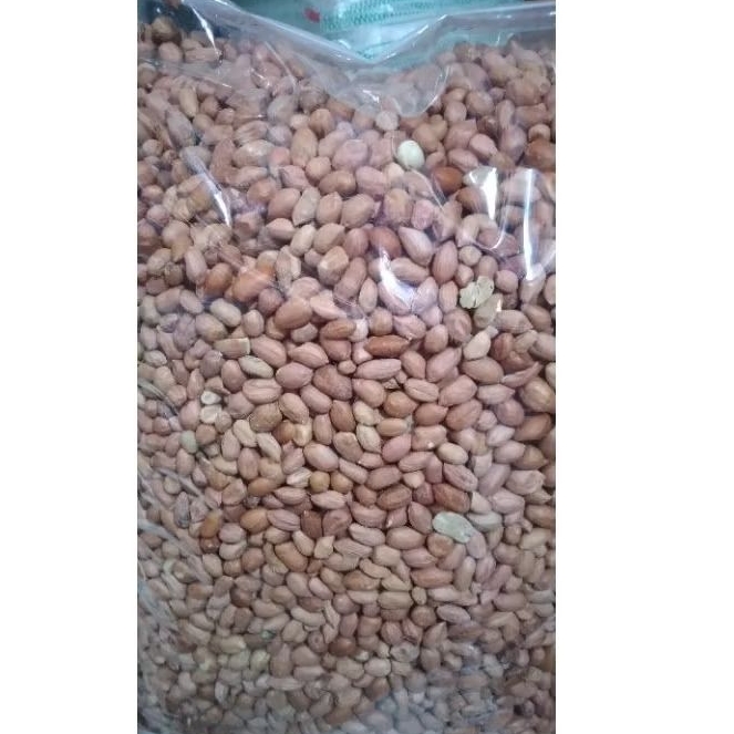 

Kacang Tanah