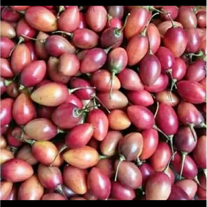

Terong Belanda 1kg