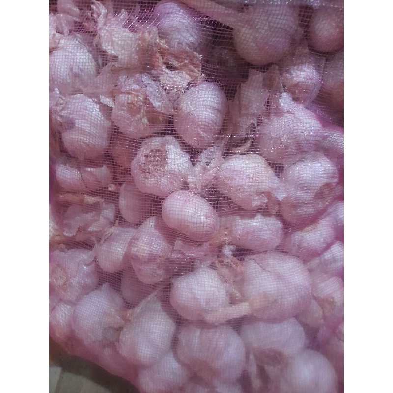 

bawang putih masih ada kulit 1kg
