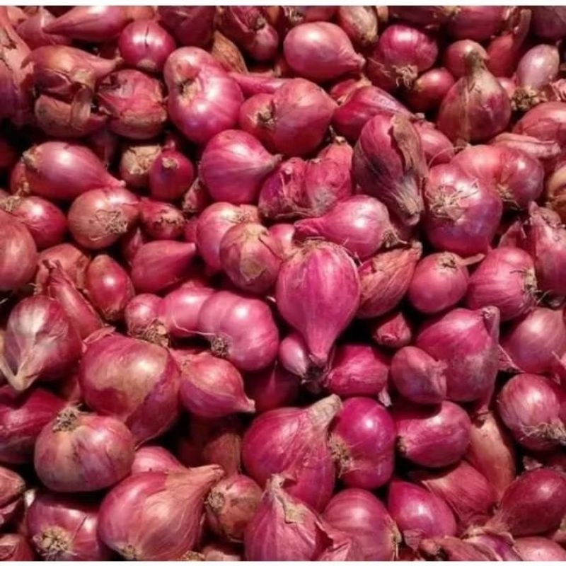 

bawang merah kualitas super 1 kg brambang bawang merah premium 1kg