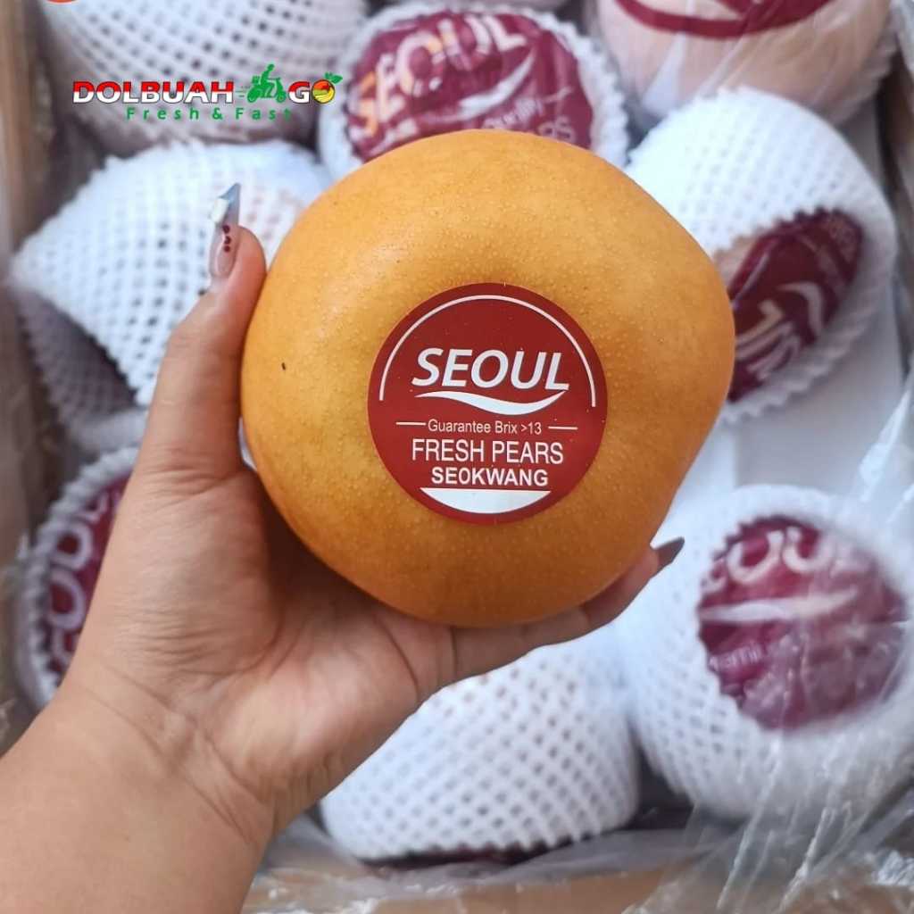 

Pear Singo Korea Asli Jumbo Premium Manis Berkualitas - Dolbuah