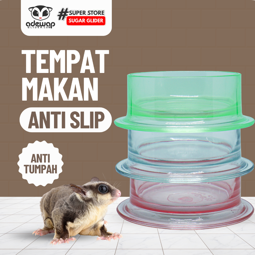 ADEWAP GLIDER Tempat Makan Bulat Warna Bening Sugar Glider